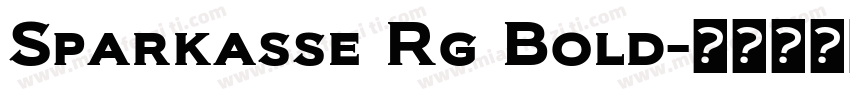Sparkasse Rg Bold字体转换